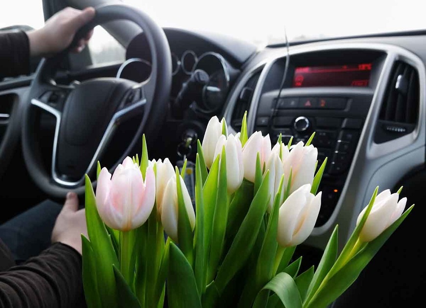 transporting flowers in cars