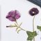 How to Make Your Own Pressed Flowers
