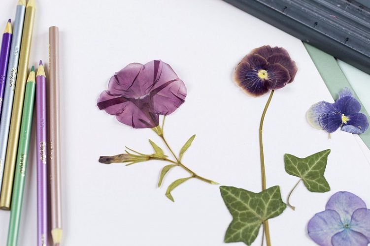 How to Make Your Own Pressed Flowers